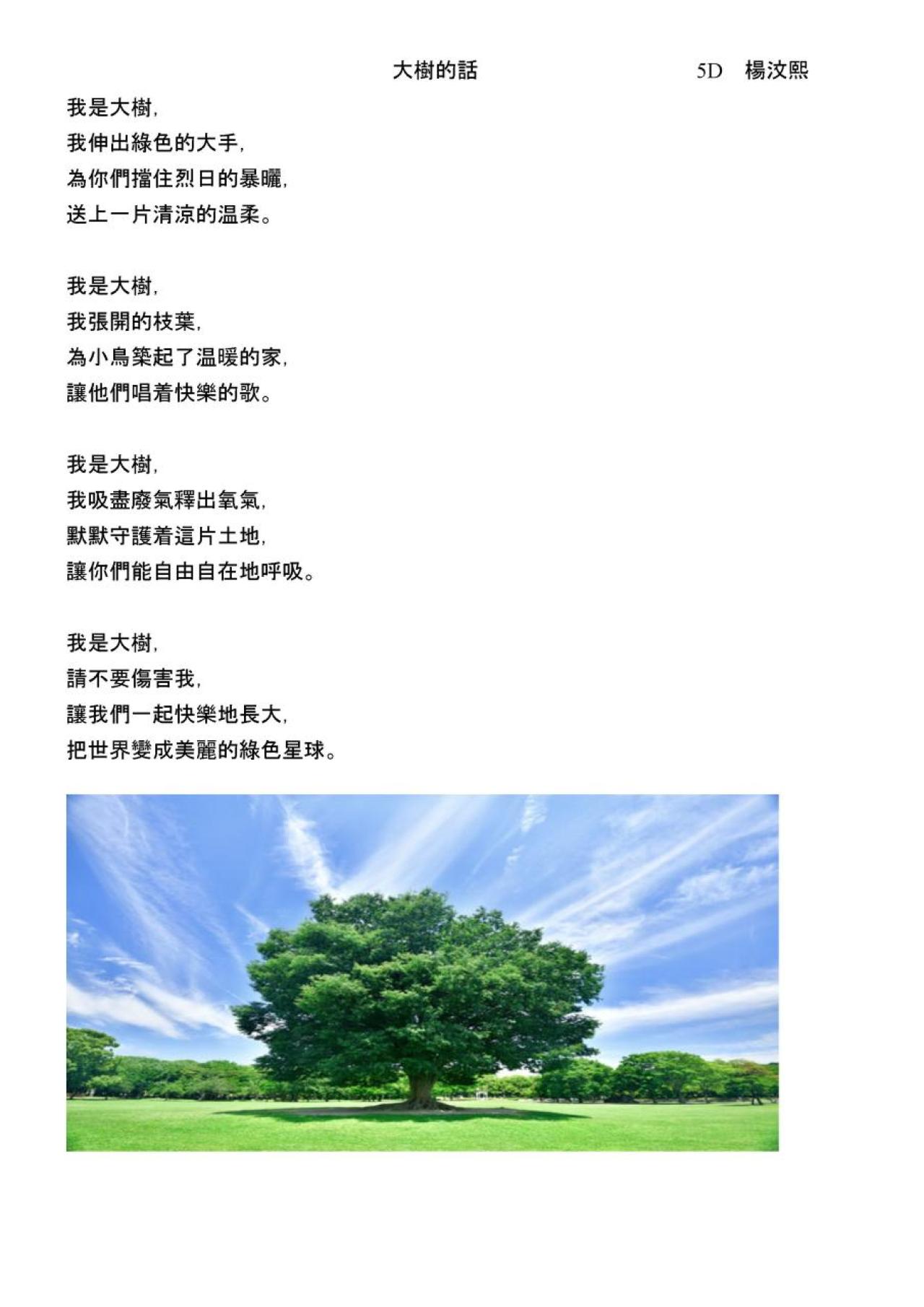 5D 楊汶熙 大樹的話
