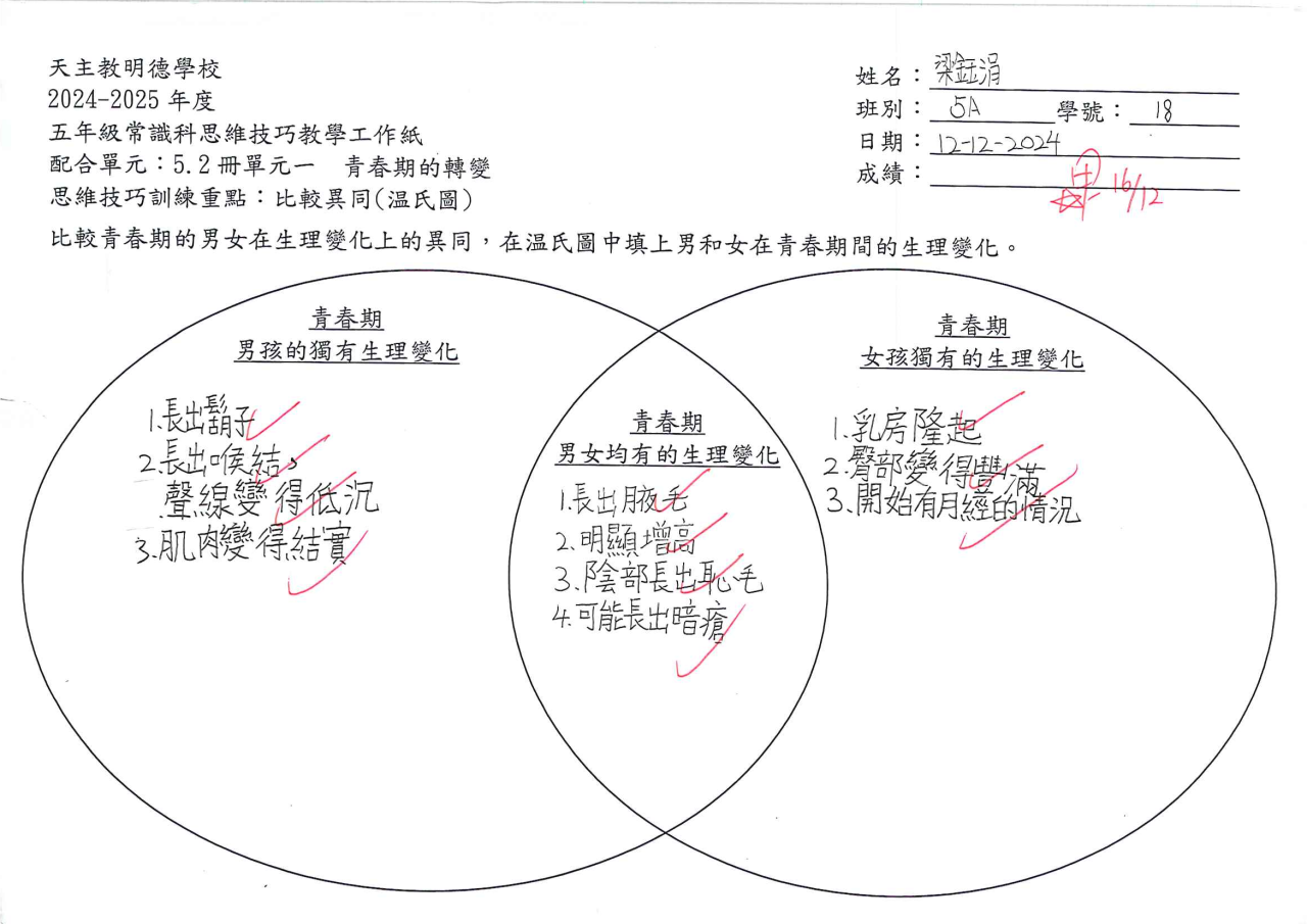 5A 梁鈺涓 青春期的轉變思維導圖