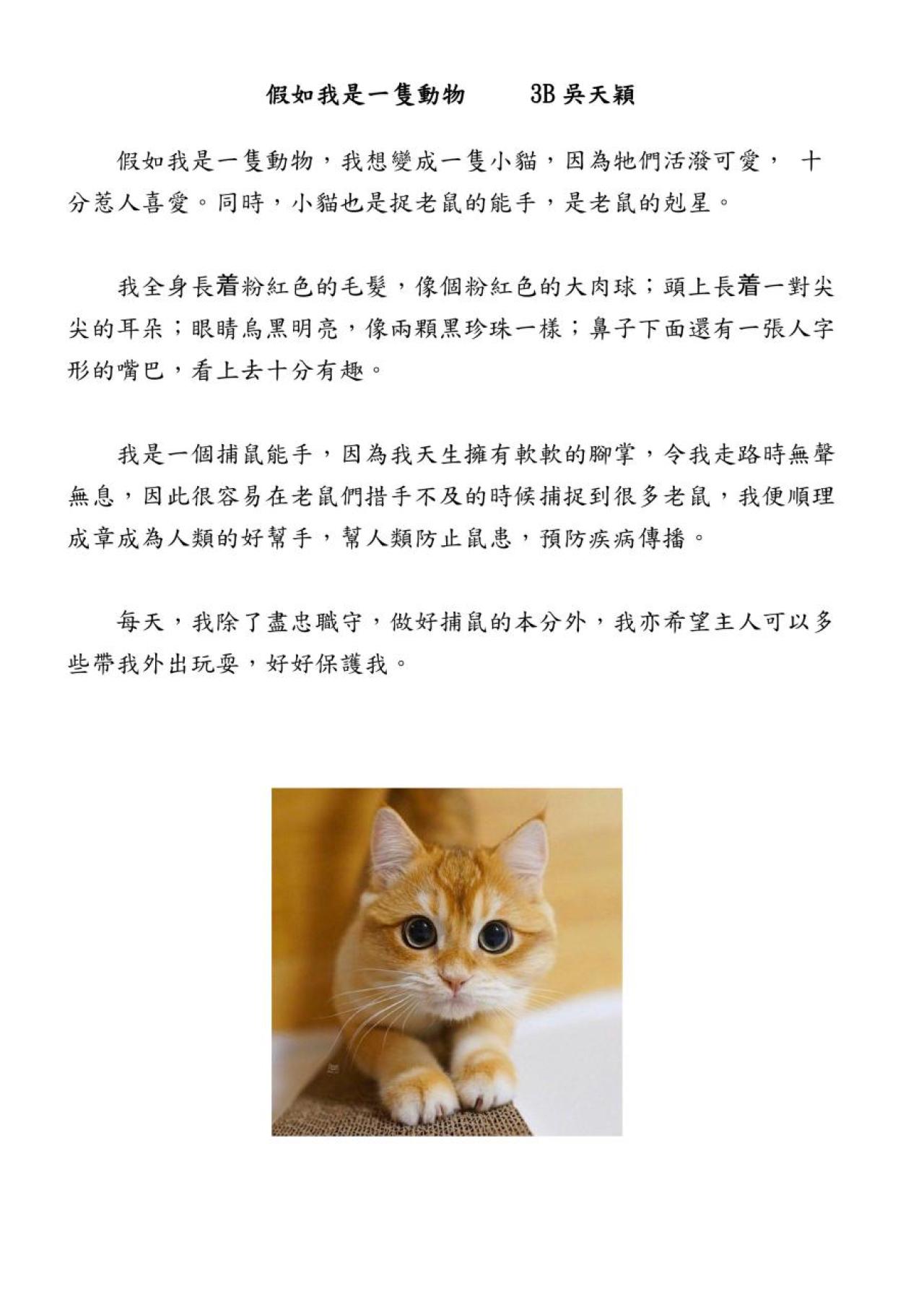 3B 吳天穎 假如我是一隻動物