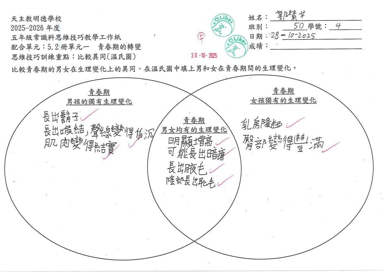 5D 郭紫芊 青春期的轉變作品
