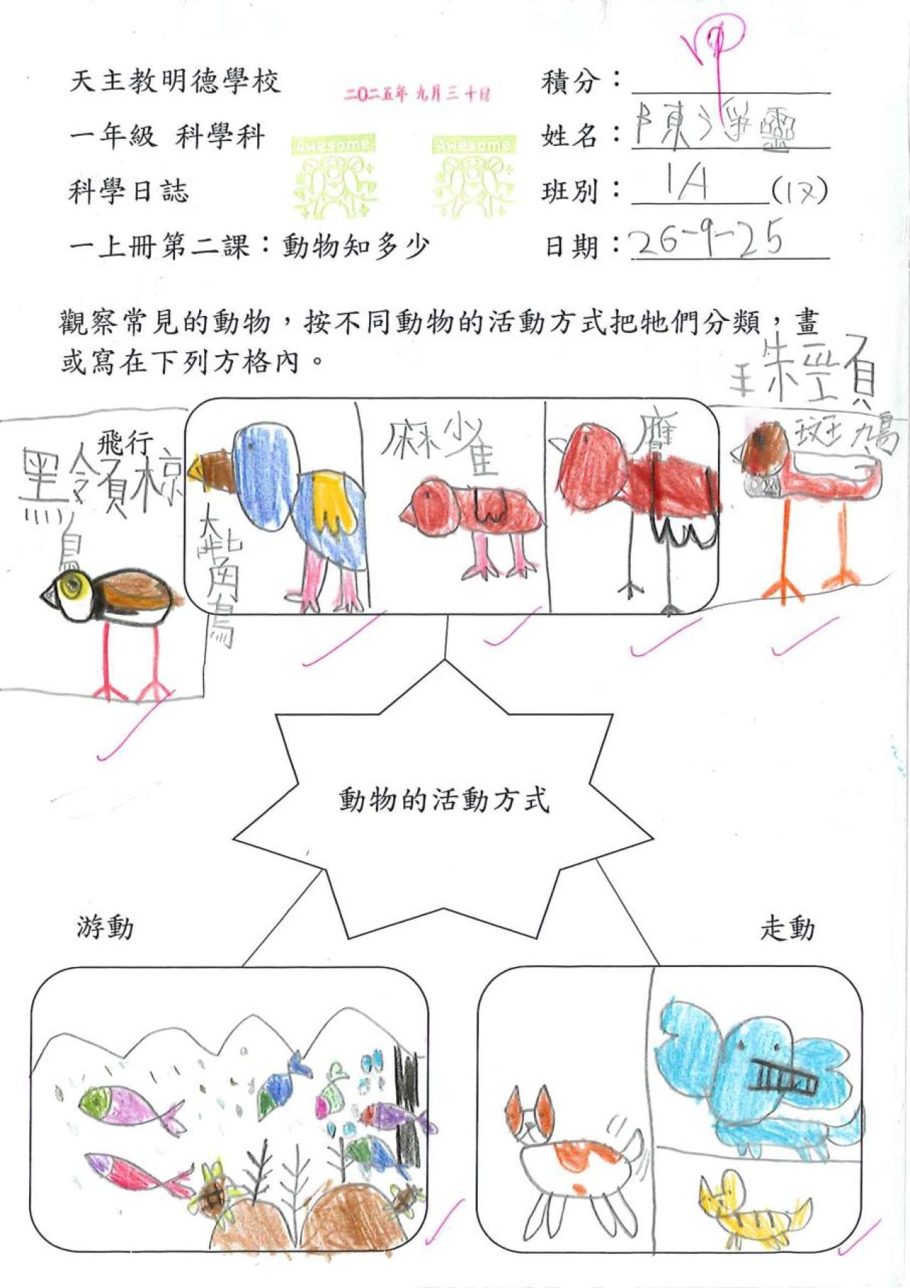1A 陳淨靈 動物知多少作品