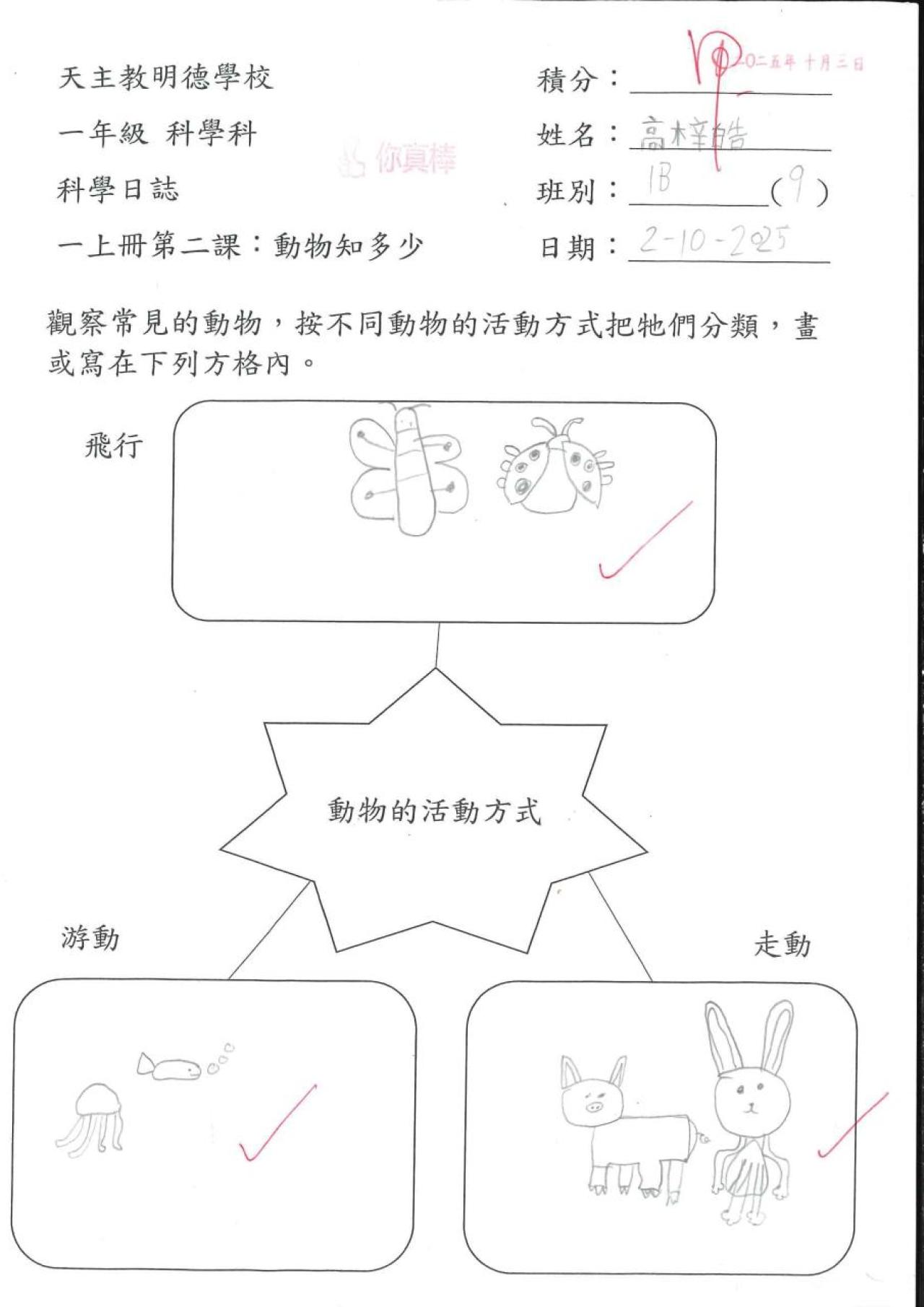 1B 高梓皓 動物知多少作品