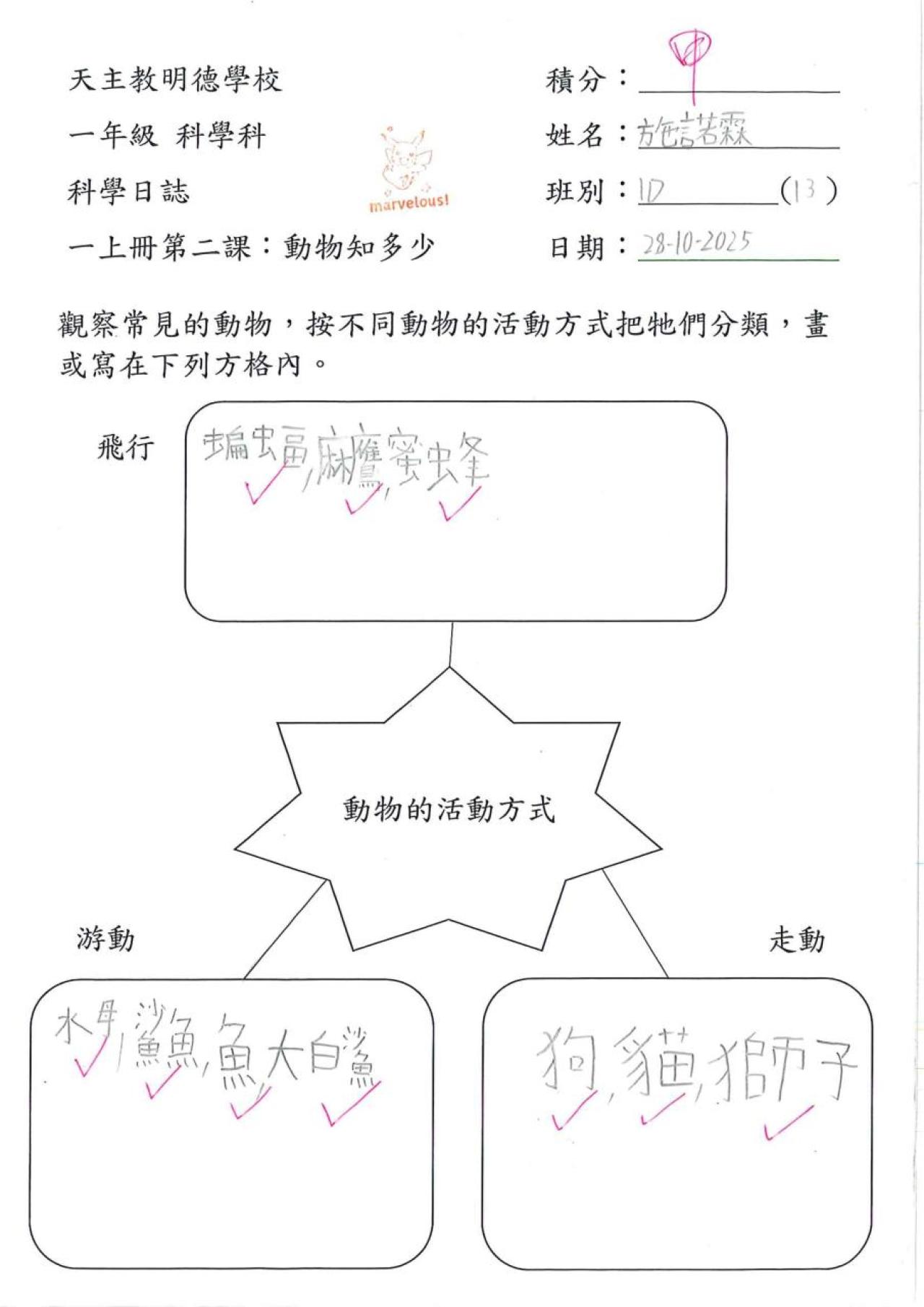 1D 施諾霖 動物知多少作品