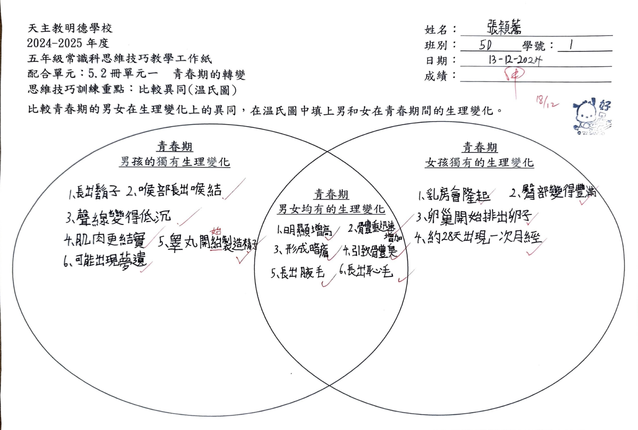 5D 張穎蕎 青春期的轉變思維導圖