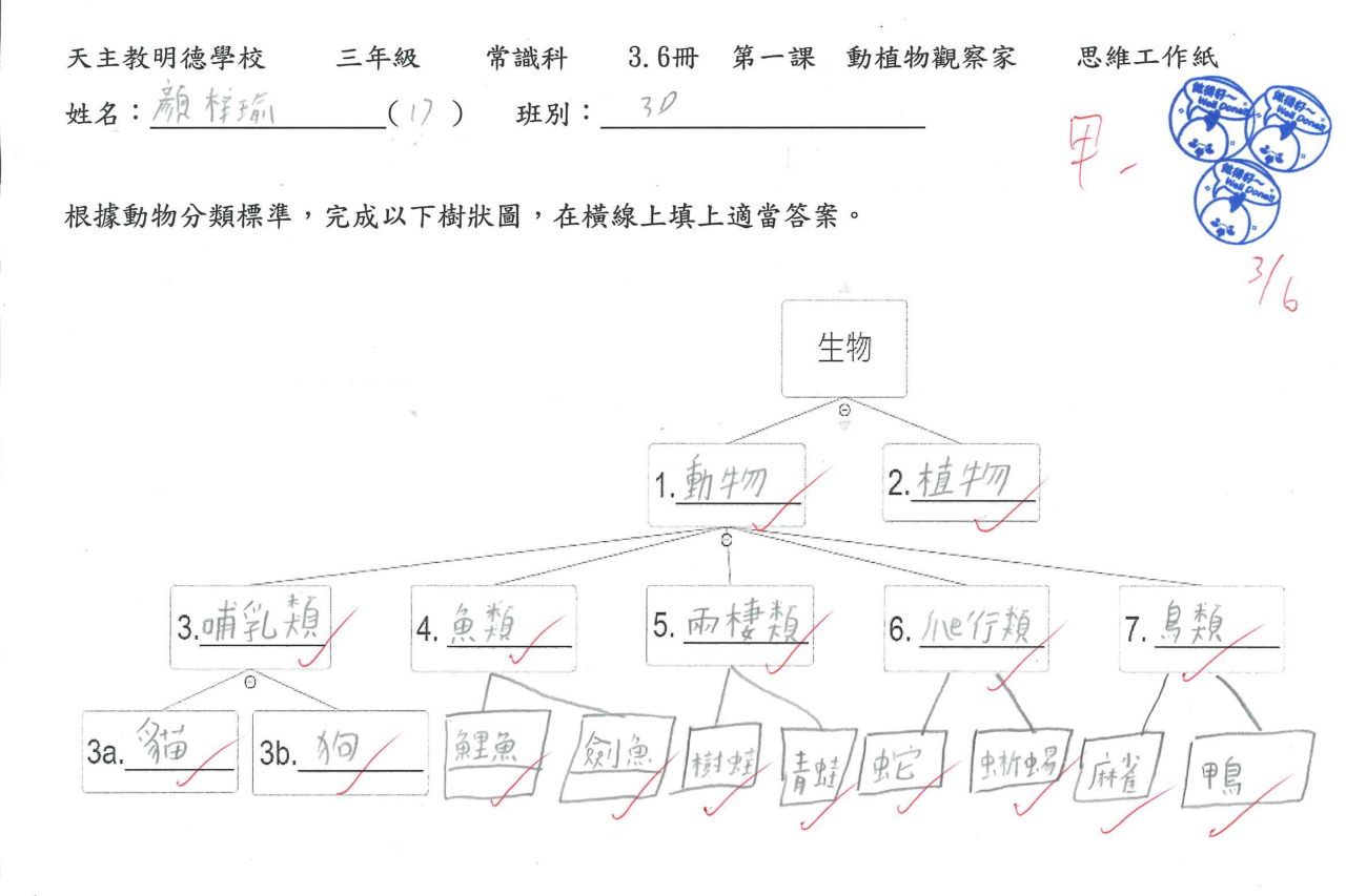 3D 顏梓瑜 動植物觀察家