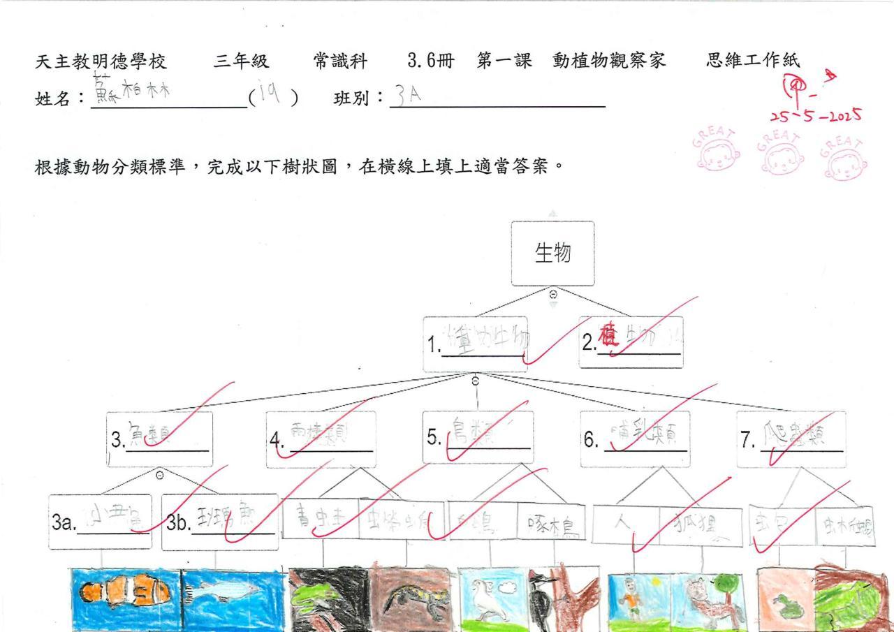 3A 蘇柏林 動植物觀察家思維導圖