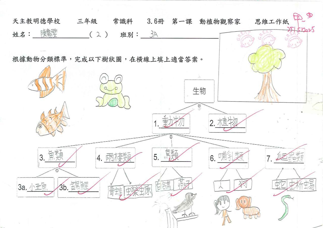 3A 陳嘉雯 動植物觀察家思維導圖