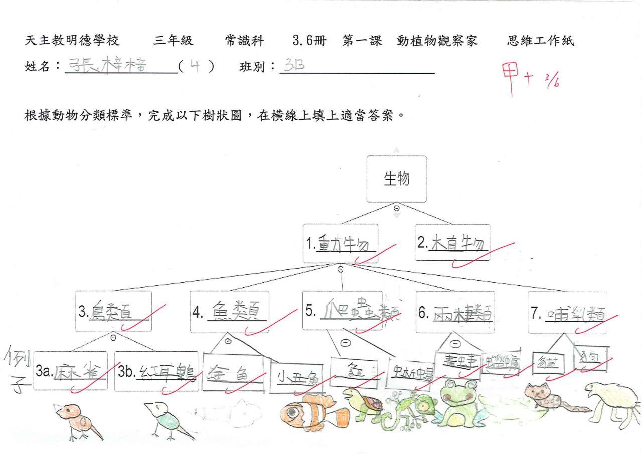 3B 張梓橦 動植物觀察家
