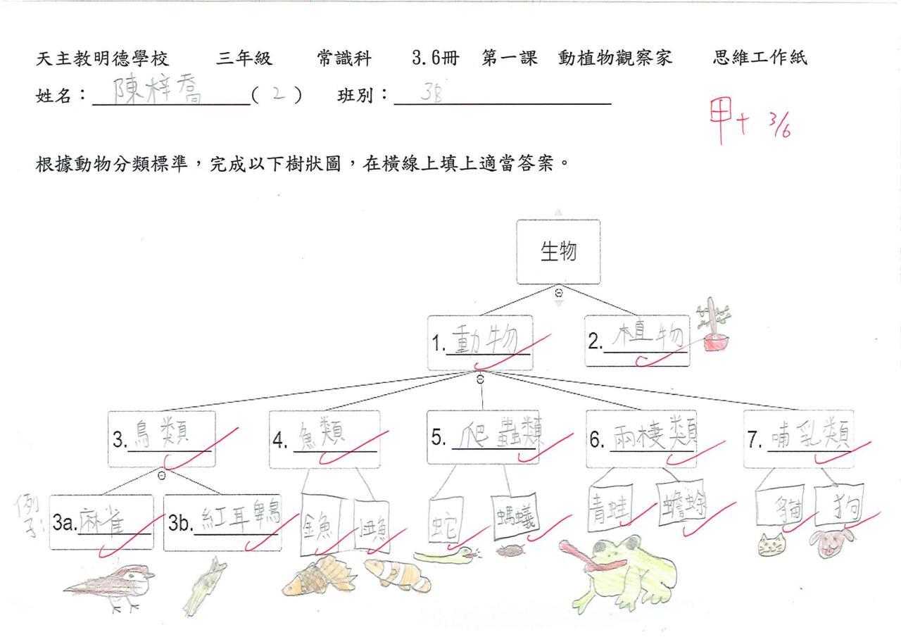 3B 陳梓喬 動植物觀察家