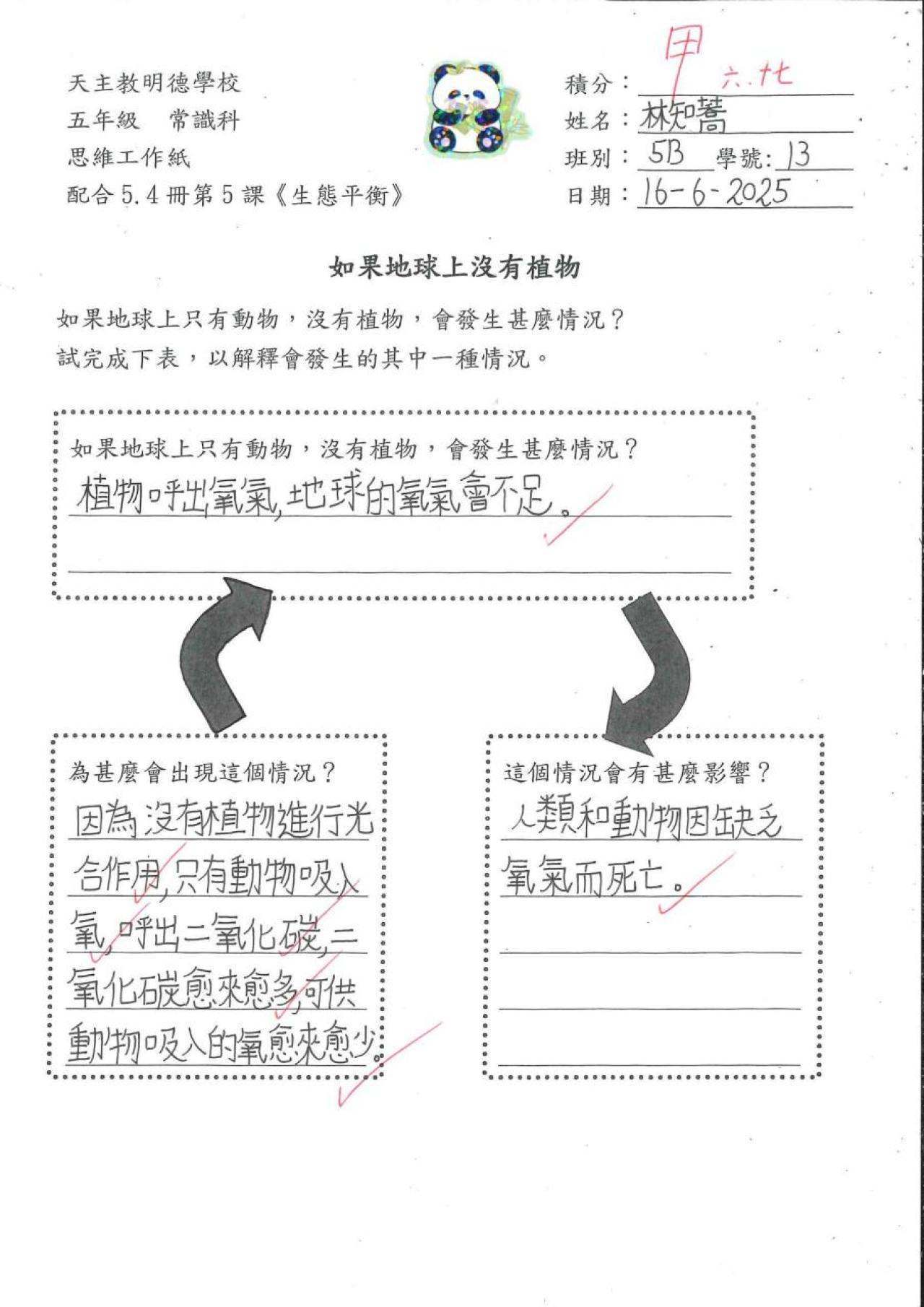 5B 林知蕎 思維工作紙